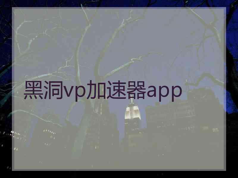 黑洞vp加速器app