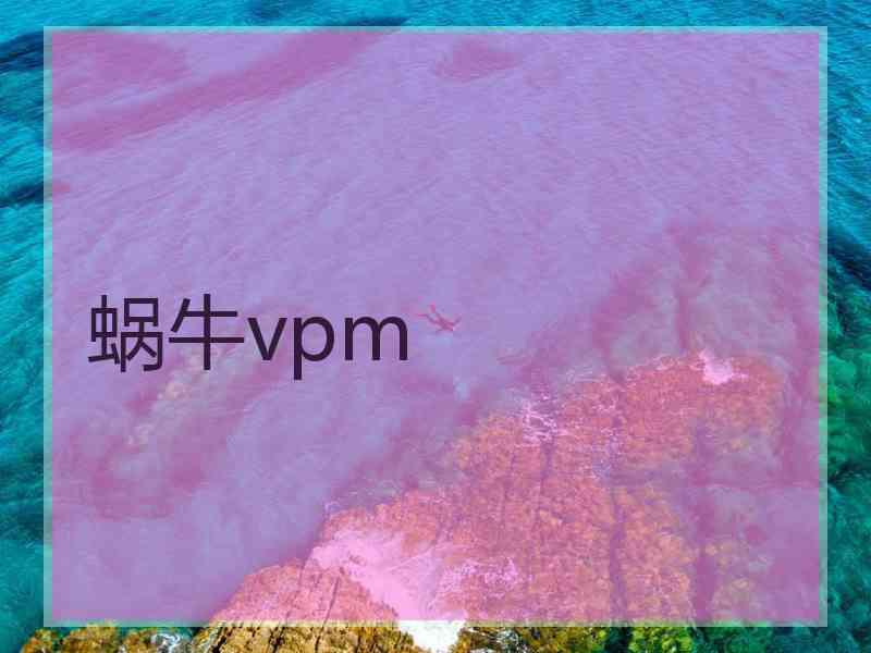 蜗牛vpm