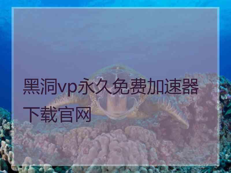 黑洞vp永久免费加速器下载官网