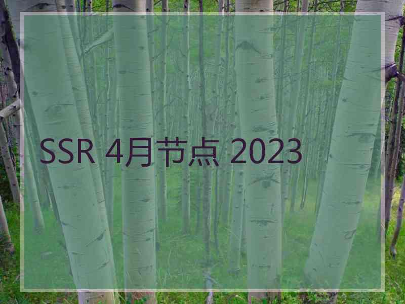 SSR 4月节点 2023