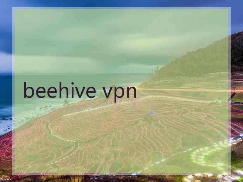 beehive vpn