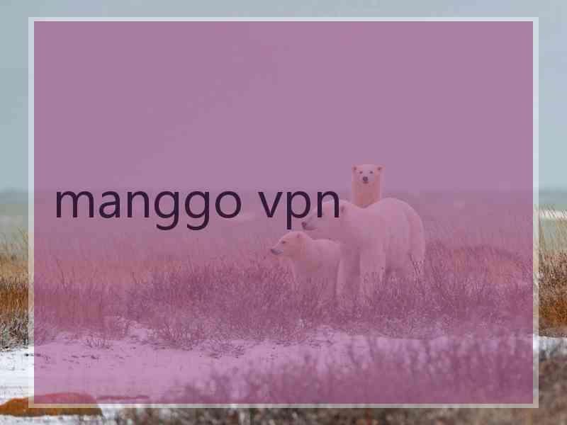 manggo vpn