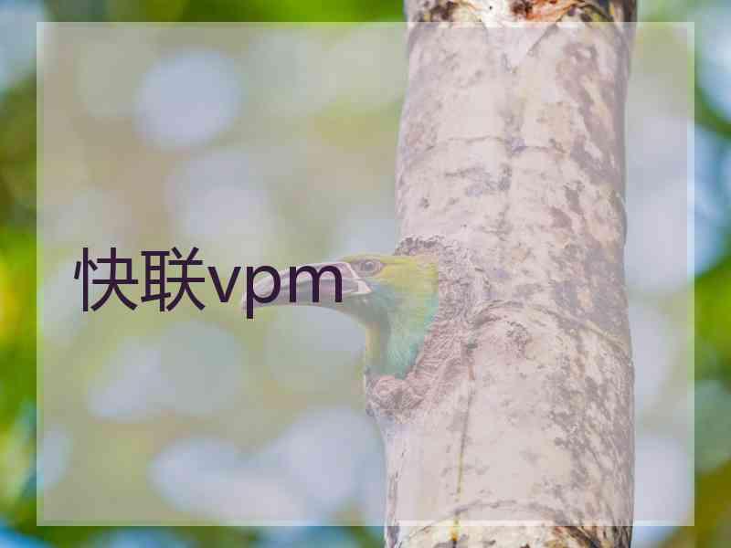 快联vpm