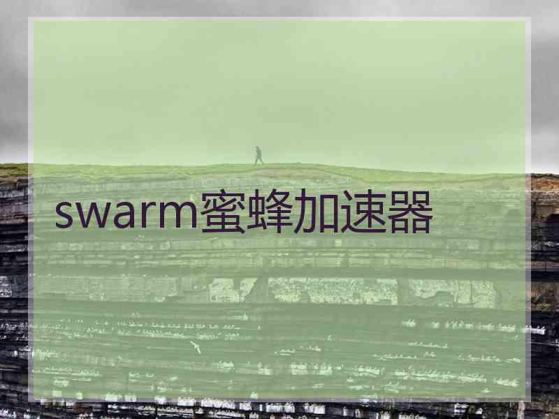 swarm蜜蜂加速器