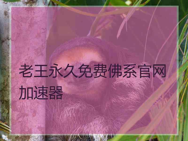 老王永久免费佛系官网加速器