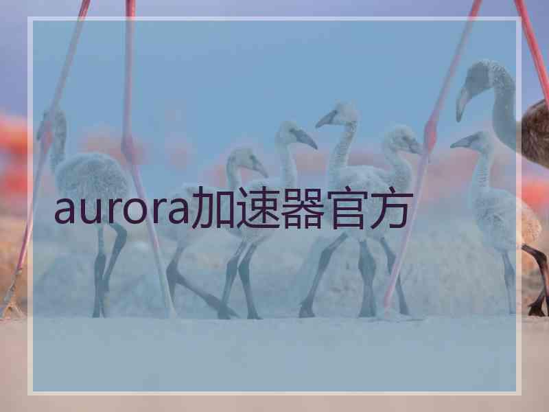 aurora加速器官方