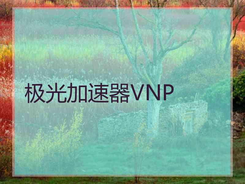 极光加速器VNP