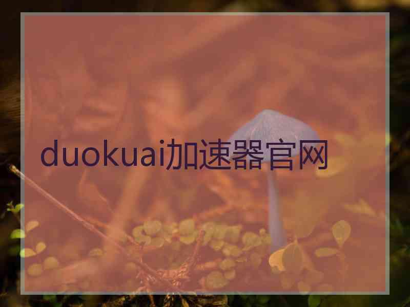 duokuai加速器官网