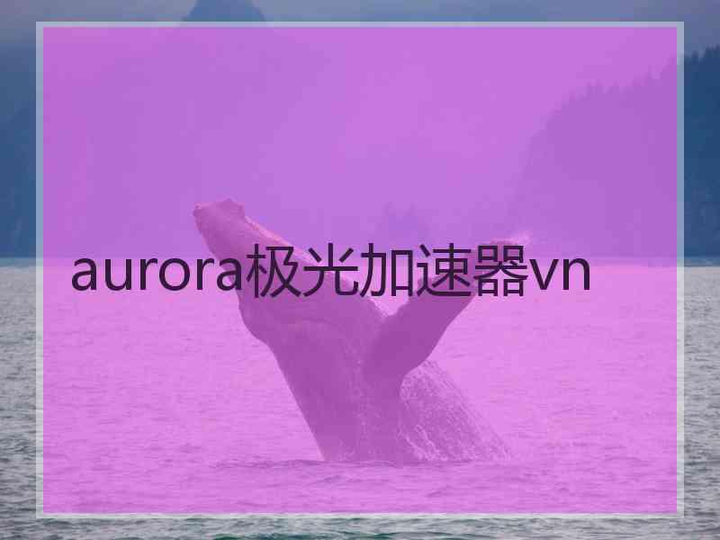 aurora极光加速器vn