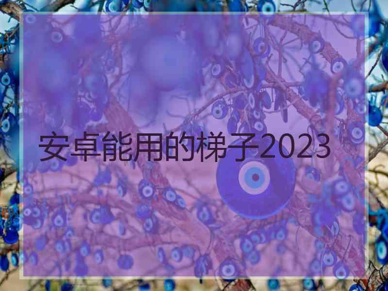 安卓能用的梯子2023