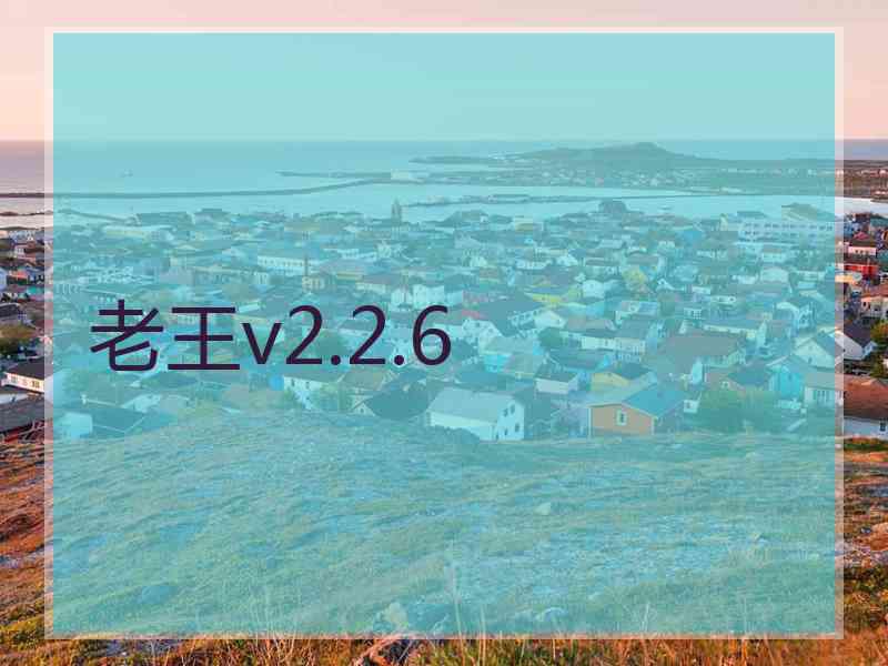 老王v2.2.6