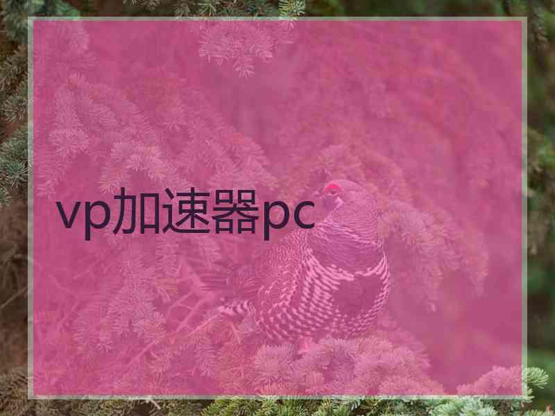 vp加速器pc