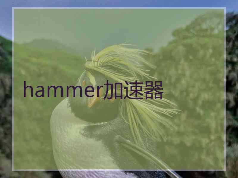 hammer加速器