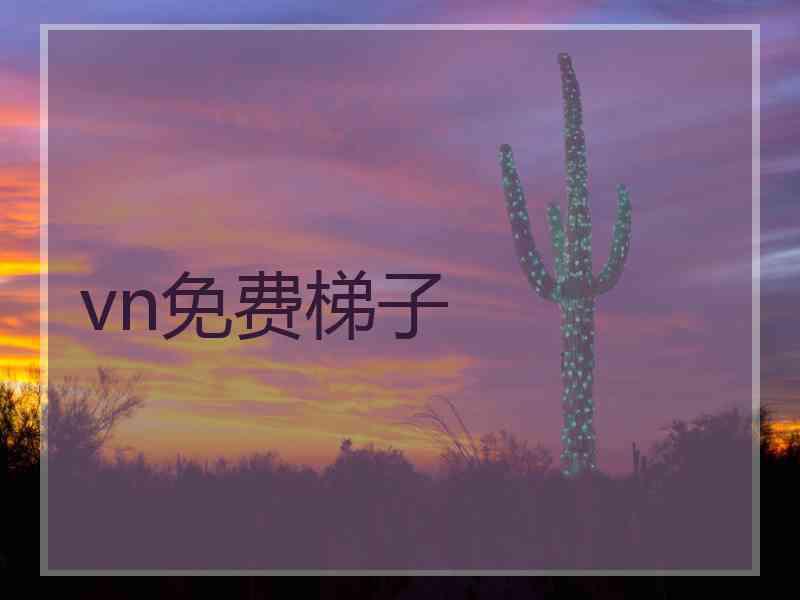 vn免费梯子