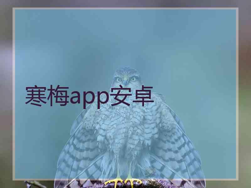 寒梅app安卓