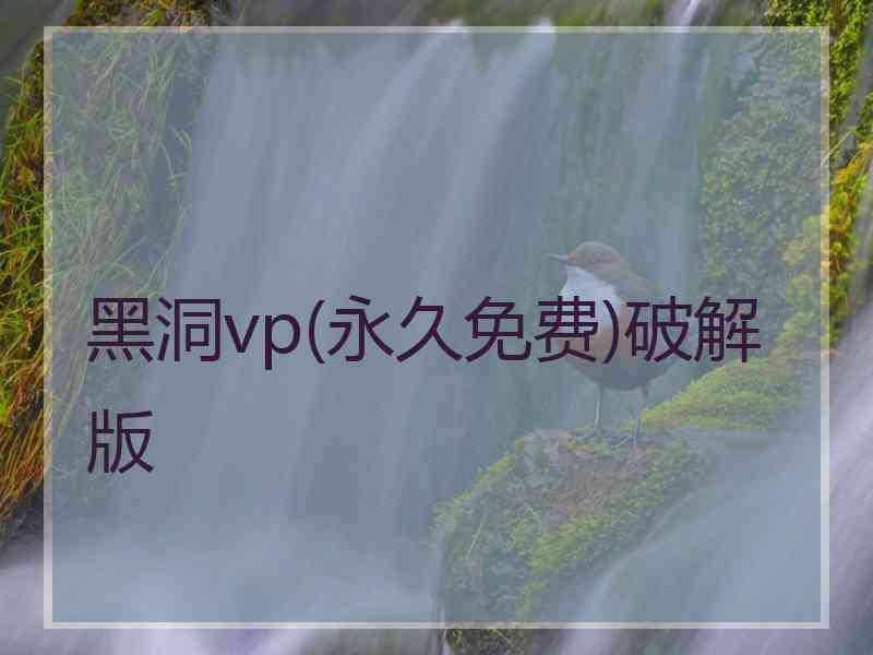 黑洞vp(永久免费)破解版