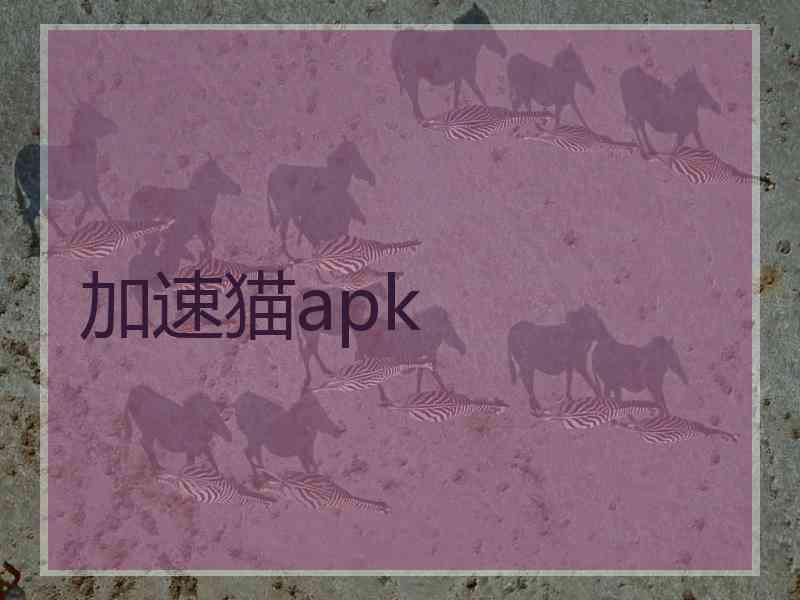 加速猫apk