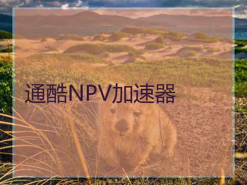 通酷NPV加速器