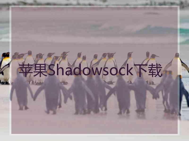 苹果Shadowsock下载