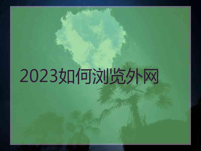 2023如何浏览外网