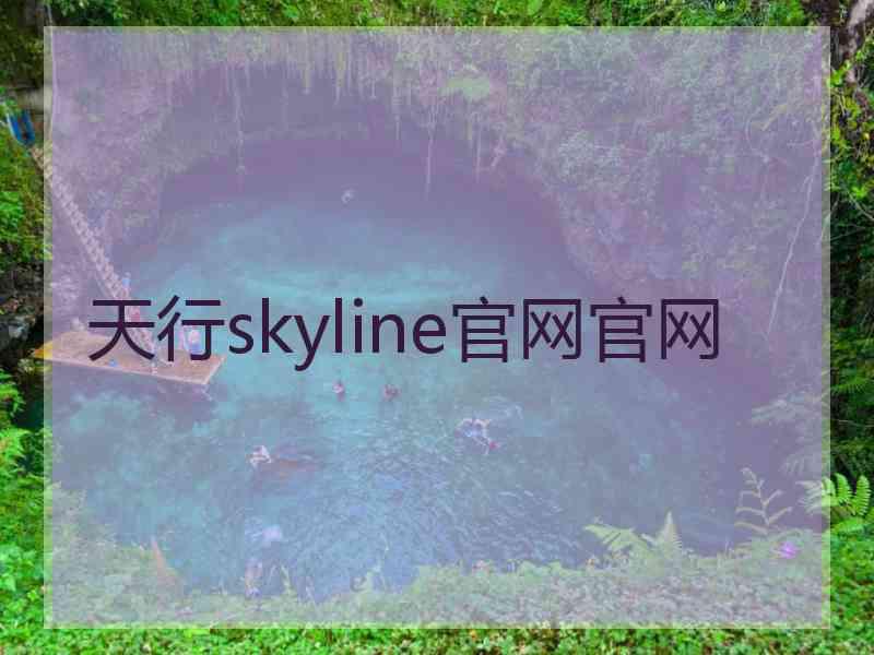 天行skyline官网官网