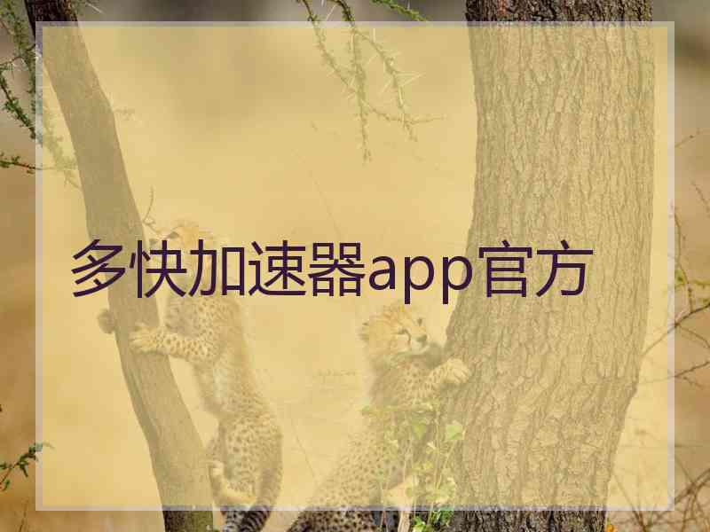 多快加速器app官方