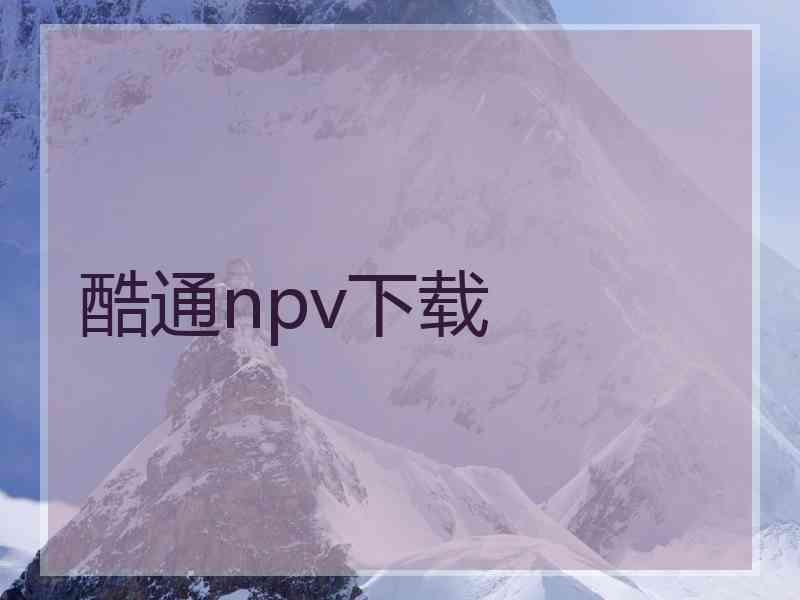 酷通npv下载