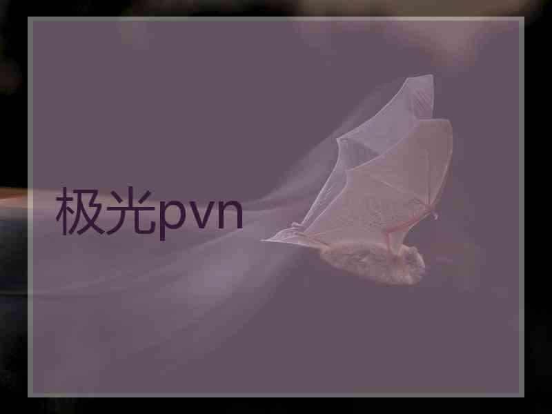 极光pvn