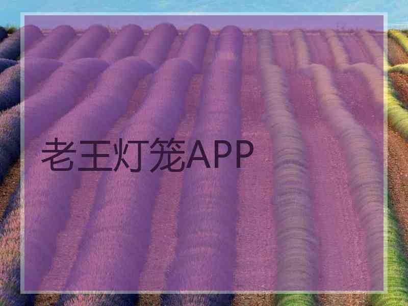 老王灯笼APP