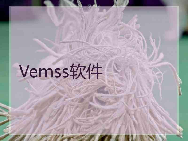 Vemss软件