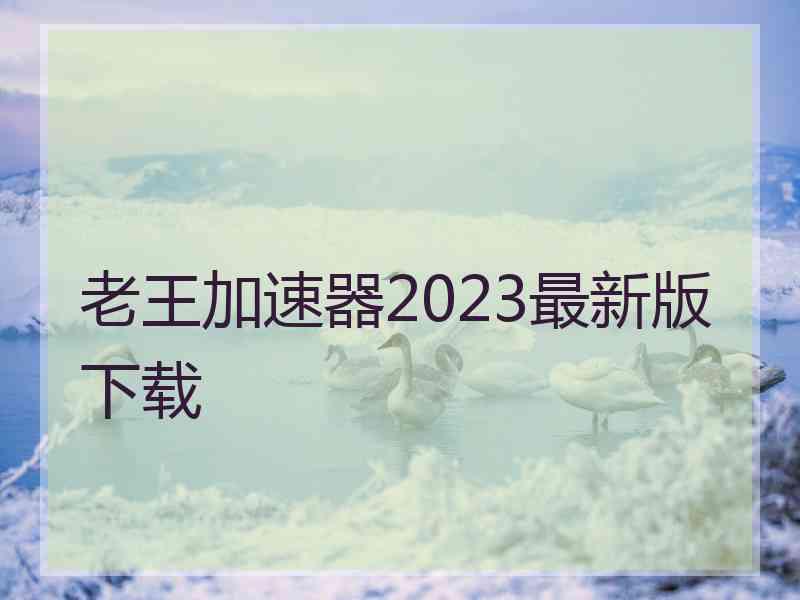 老王加速器2023最新版下载