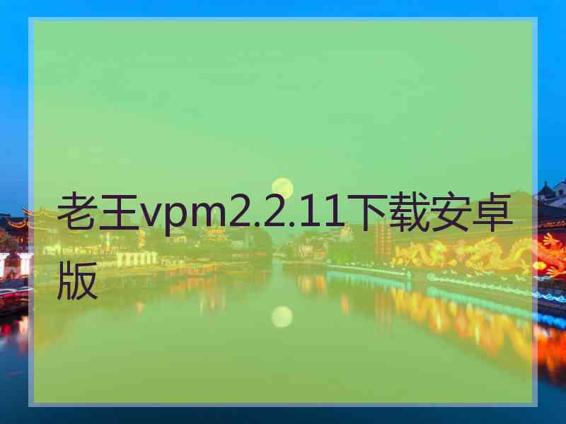 老王vpm2.2.11下载安卓版