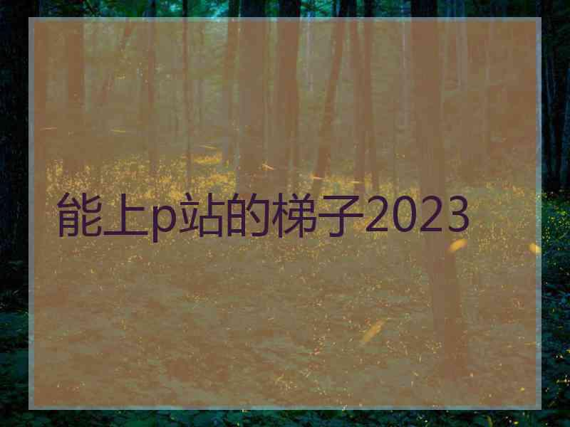 能上p站的梯子2023