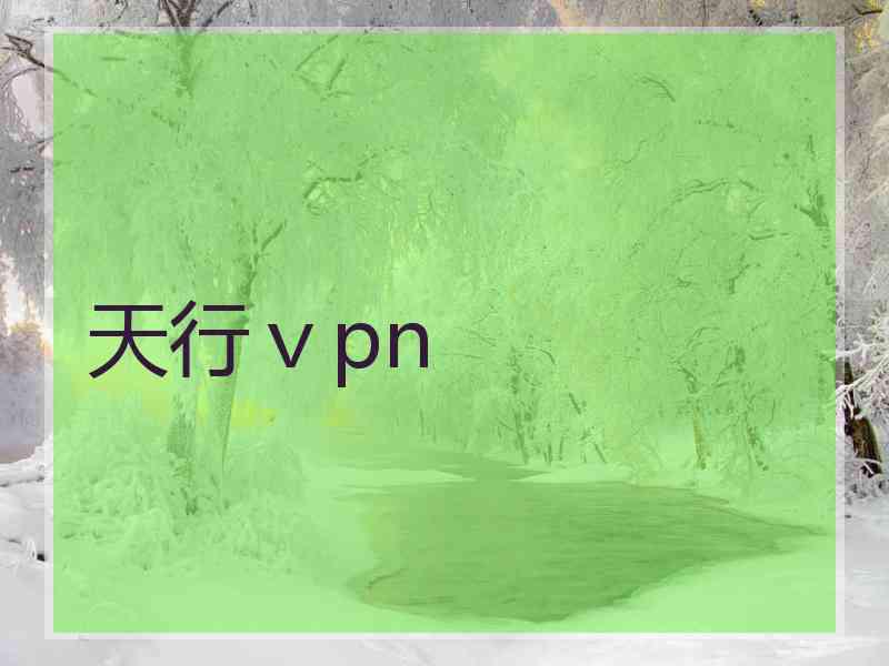 天行ⅴpn