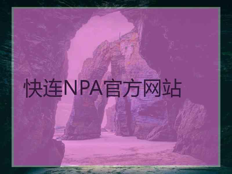 快连NPA官方网站