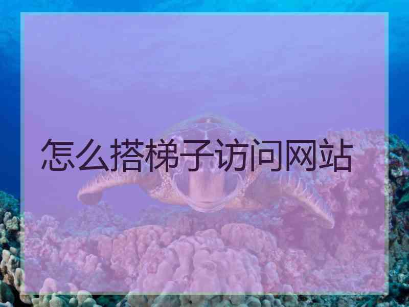 怎么搭梯子访问网站