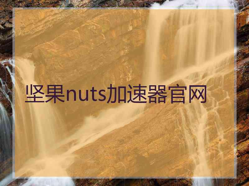 坚果nuts加速器官网