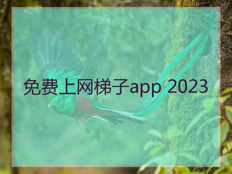 免费上网梯子app 2023