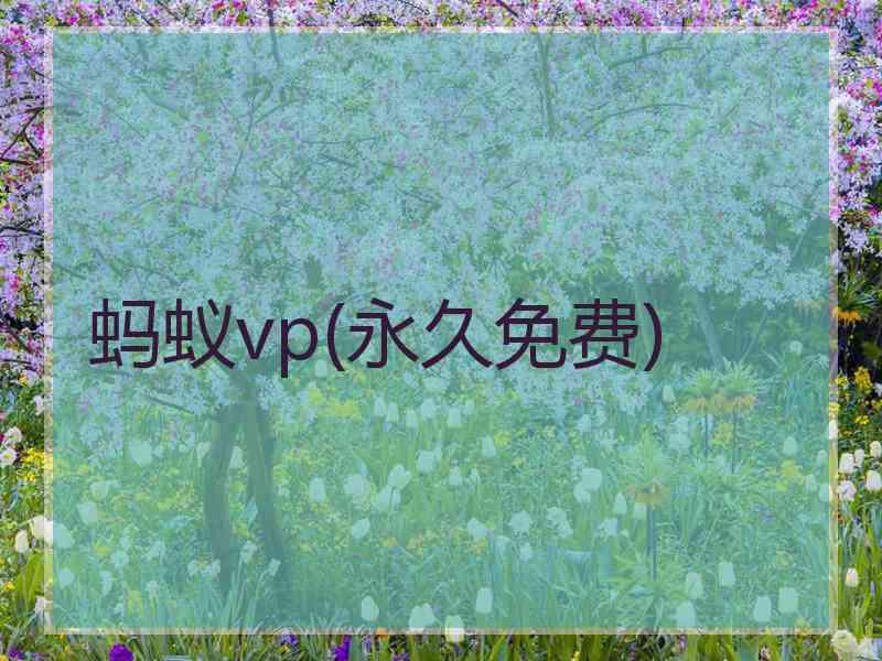 蚂蚁vp(永久免费)