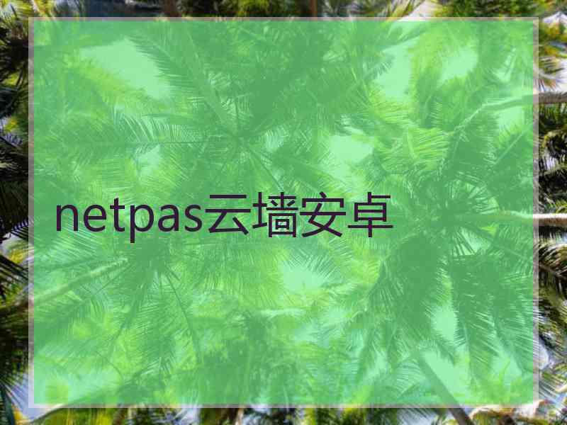 netpas云墙安卓