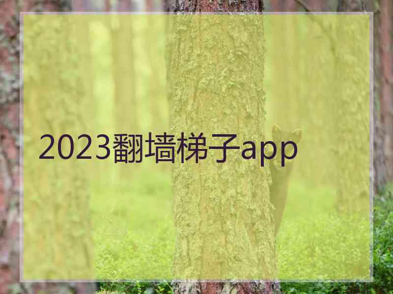 2023翻墙梯子app