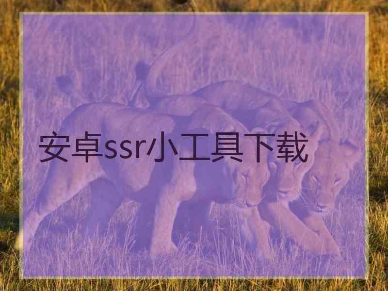 安卓ssr小工具下载