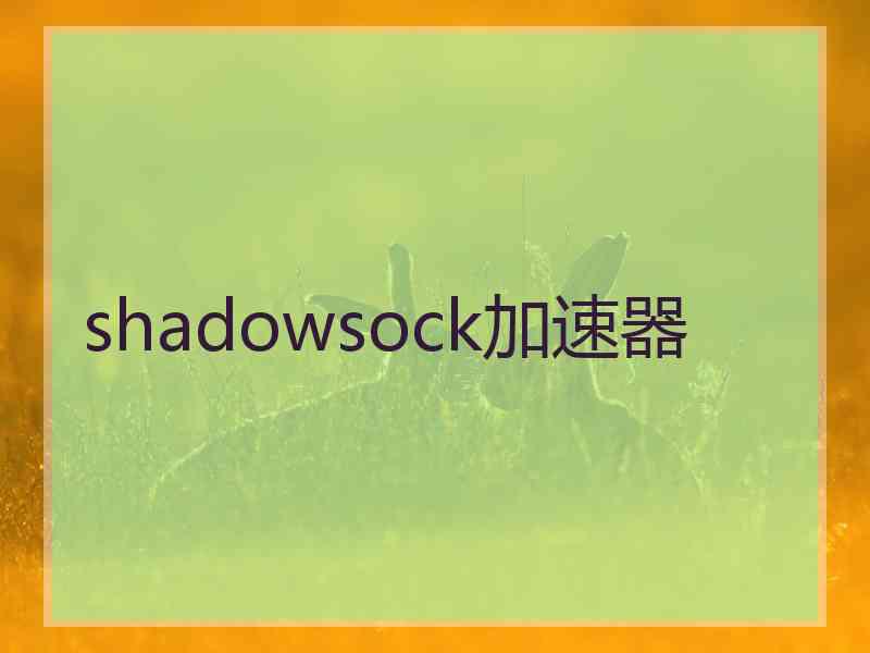 shadowsock加速器