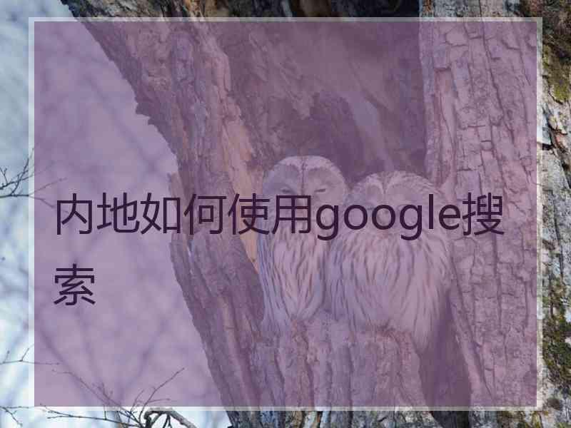 内地如何使用google搜索