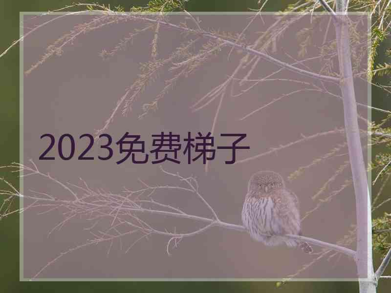 2023免费梯子