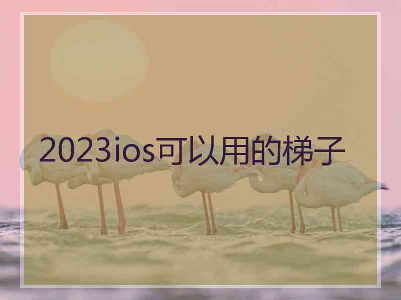 2023ios可以用的梯子