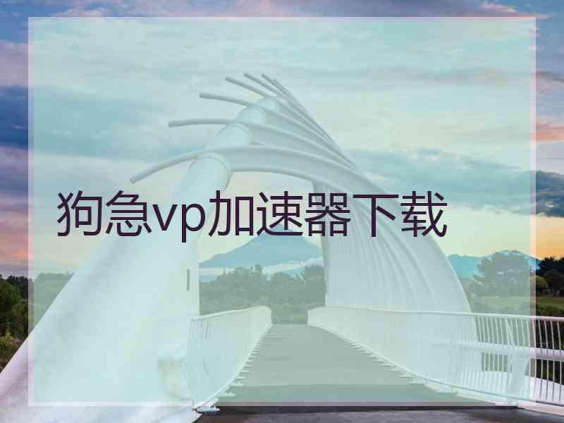 狗急vp加速器下载