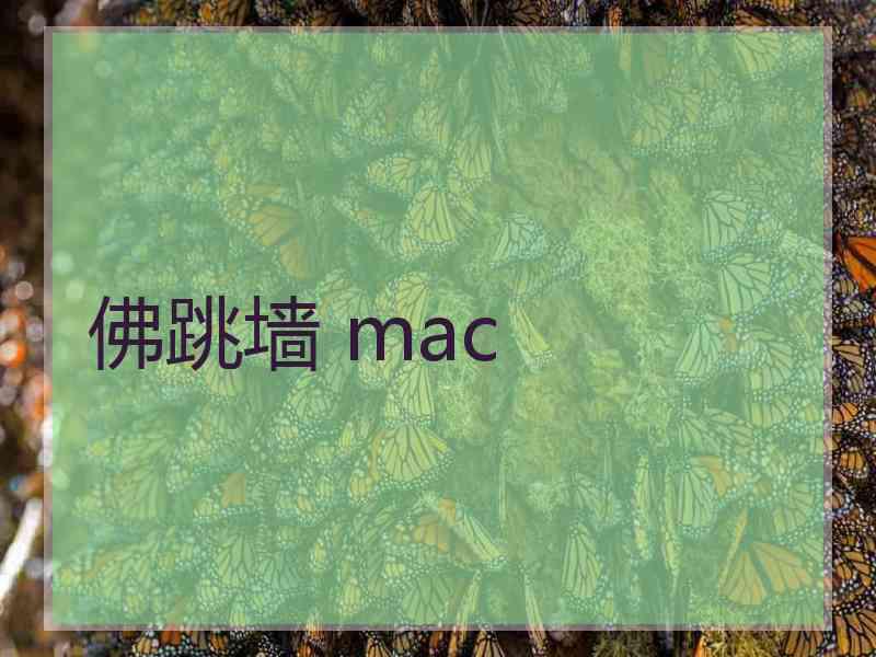 佛跳墙 mac