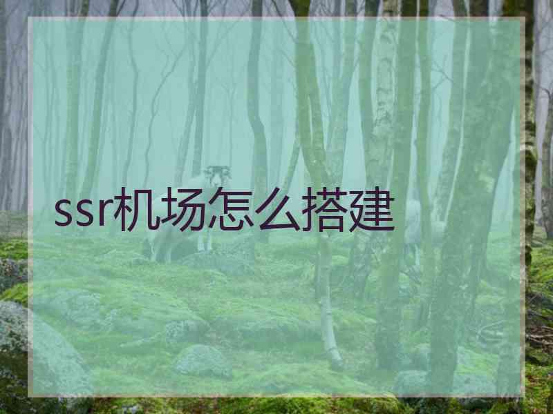 ssr机场怎么搭建