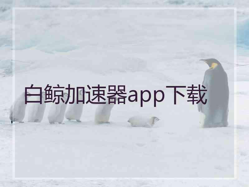 白鲸加速器app下载